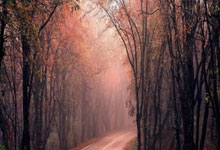 PG电子：单板滑雪障碍追逐世界杯北大湖站：加拿大英国选手各揽“双冠”2025-02-03.