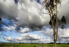 PG电子：[欧冠]1／4决赛次回合：曼城1（3）-1（4）皇马 集锦.