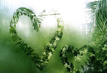 福登：希望罗尼未来踢球但不会强求；很遗憾没为索斯盖特夺冠.